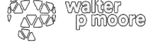 Walter P Moore